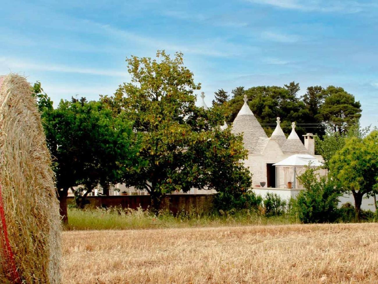 Trulli Delle Rose Puglia And Small Garden Holiday home *