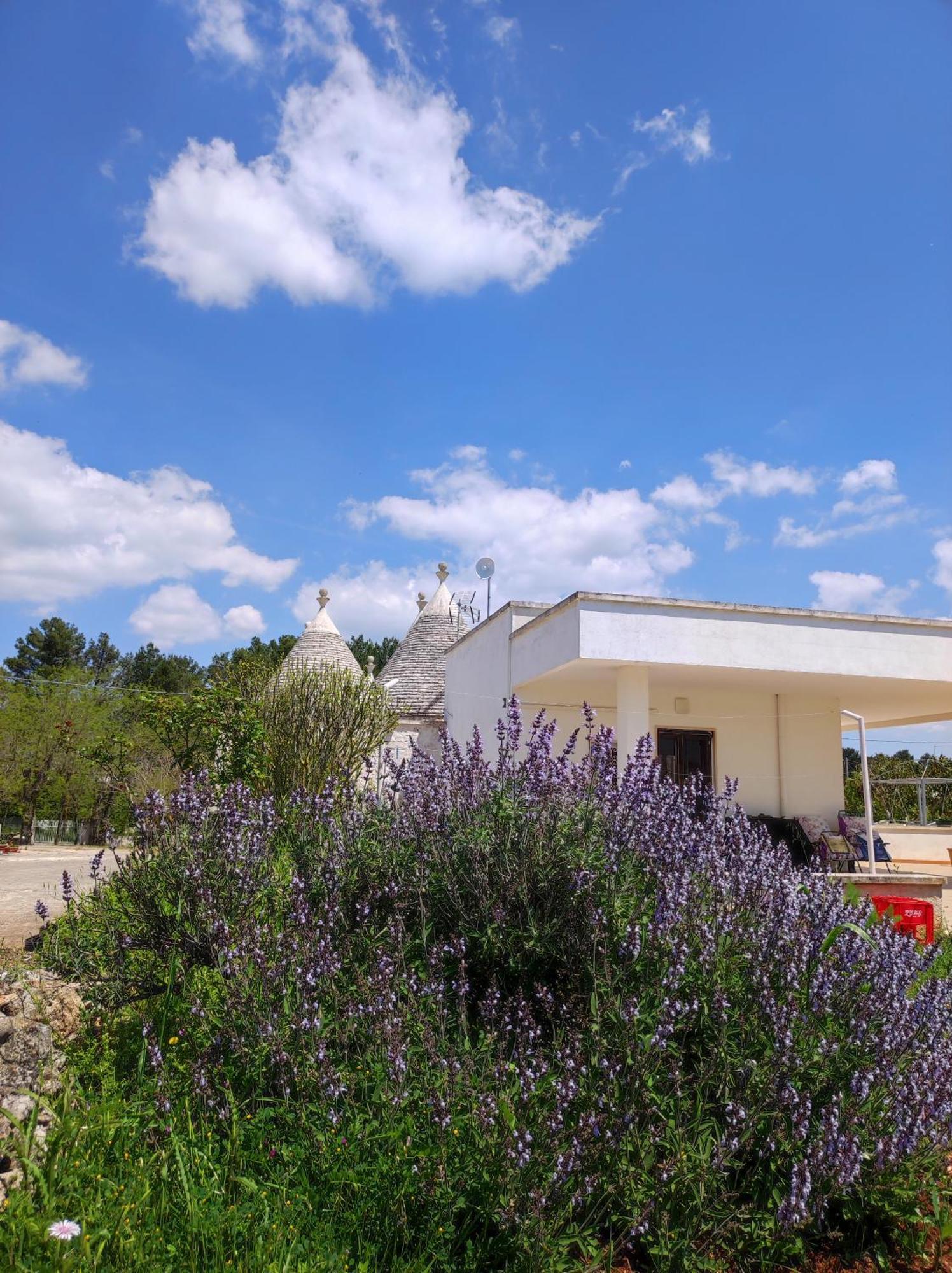 Holiday home Trulli Delle Rose Puglia And Small Garden *